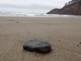 A stone from the Oregon coast