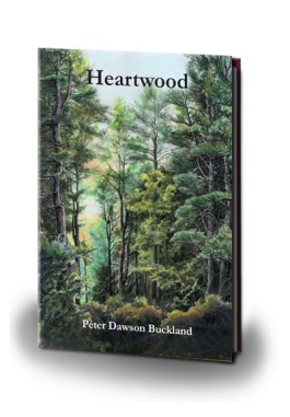 heartwood